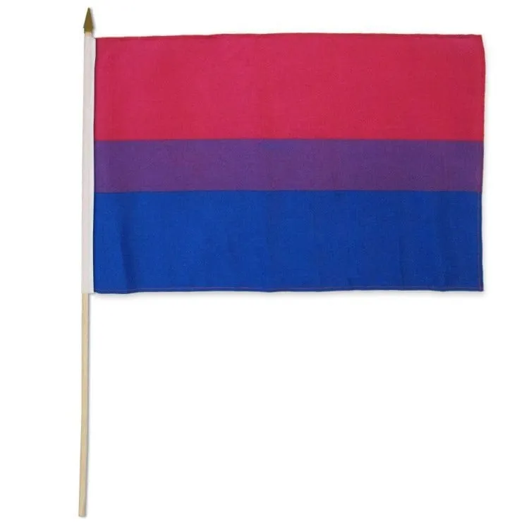 Flags Importer 12" x 18" Bisexual Stick Pride Flag