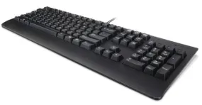 Keyboard Usb Trdtnl Kb Bk Sws