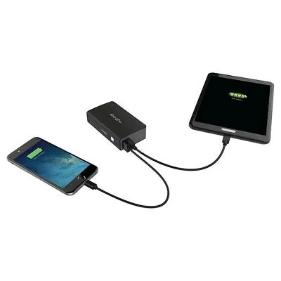 myCharge AmpProng  6000mAh (AMP60K - A) Portable USB & Wall Charger - Black