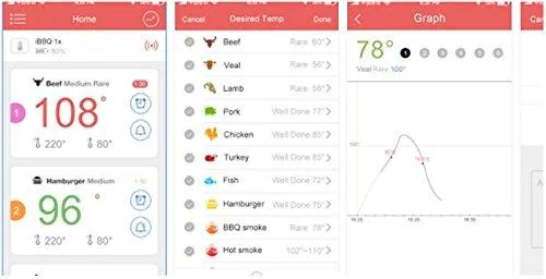 PerfectPrime KW4066 Wireless Thermometer with 6 Probes