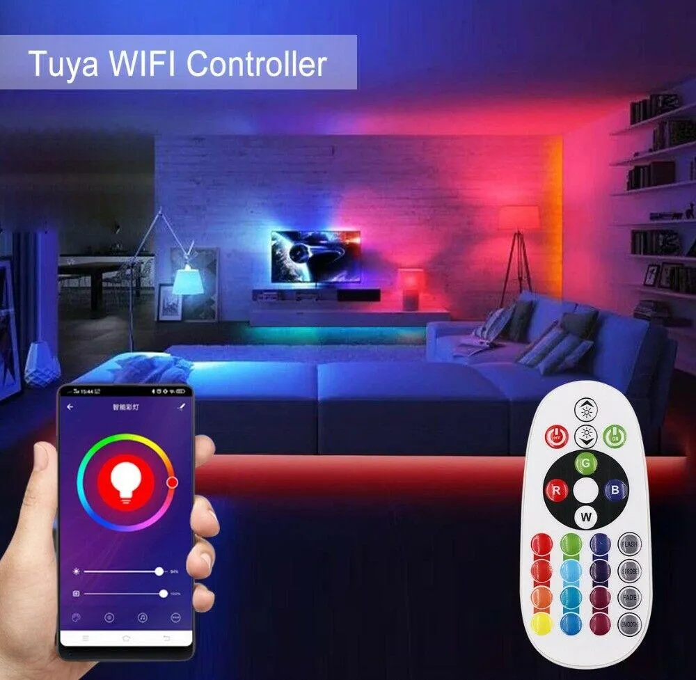 RGB Neon Flex 10x18mm 220V 240V WiFi Tuya APP LED controller with 24key Remote