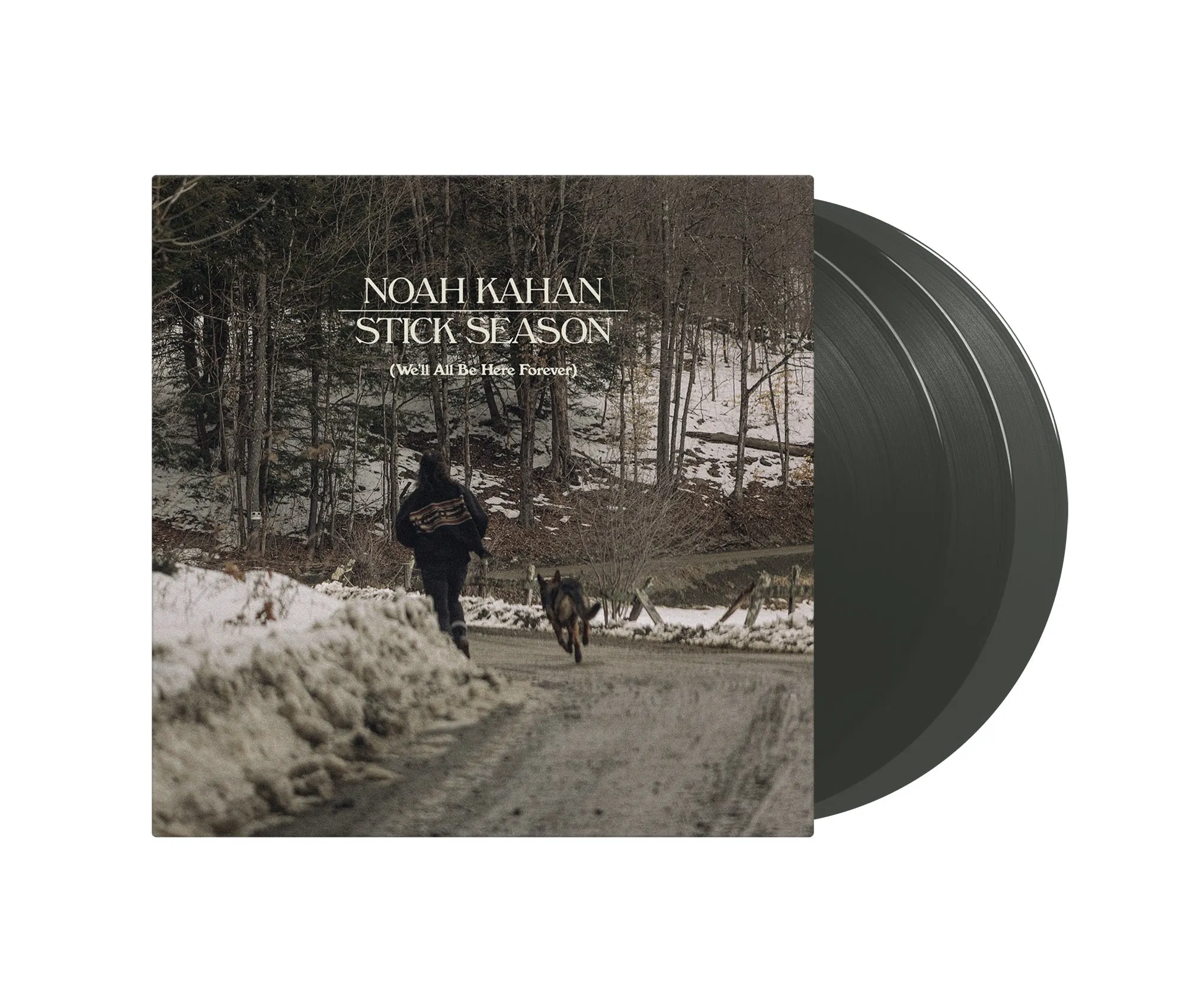 Stick Season (We'll All Be Here Forever) Vinyl 3xLP